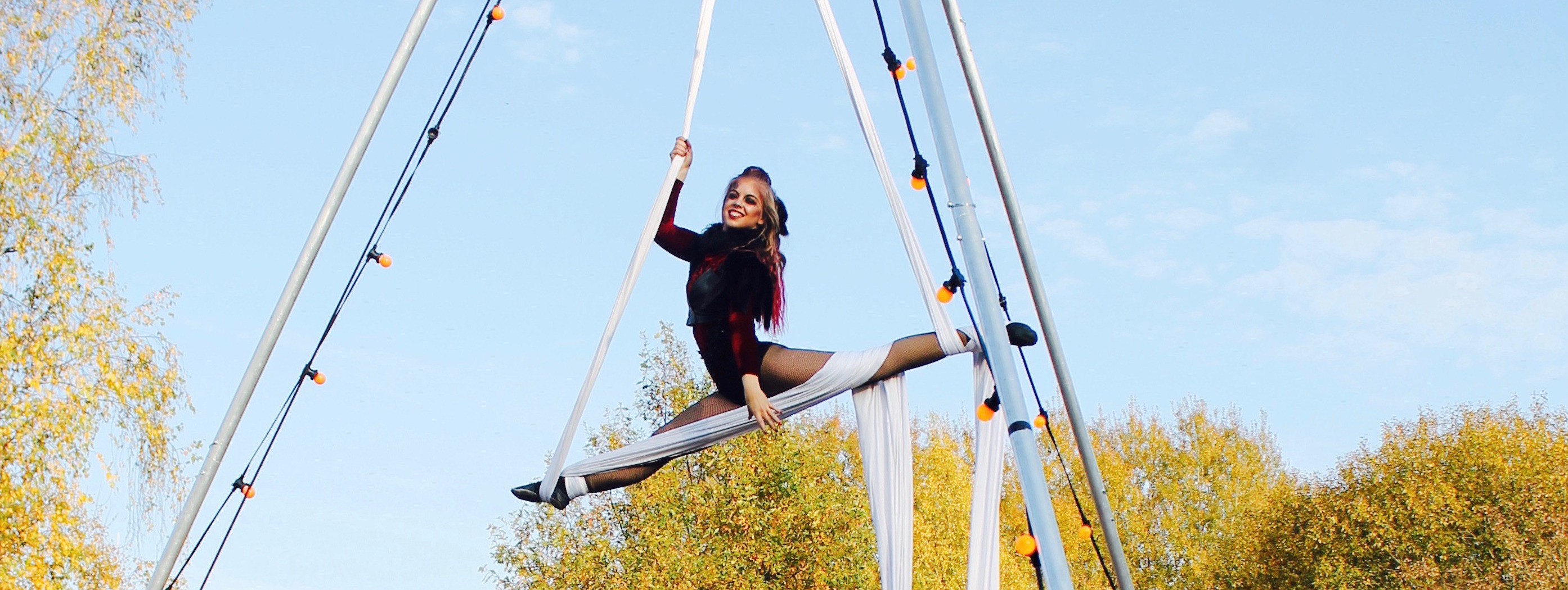 Carline acrobate aerienne acrobatique